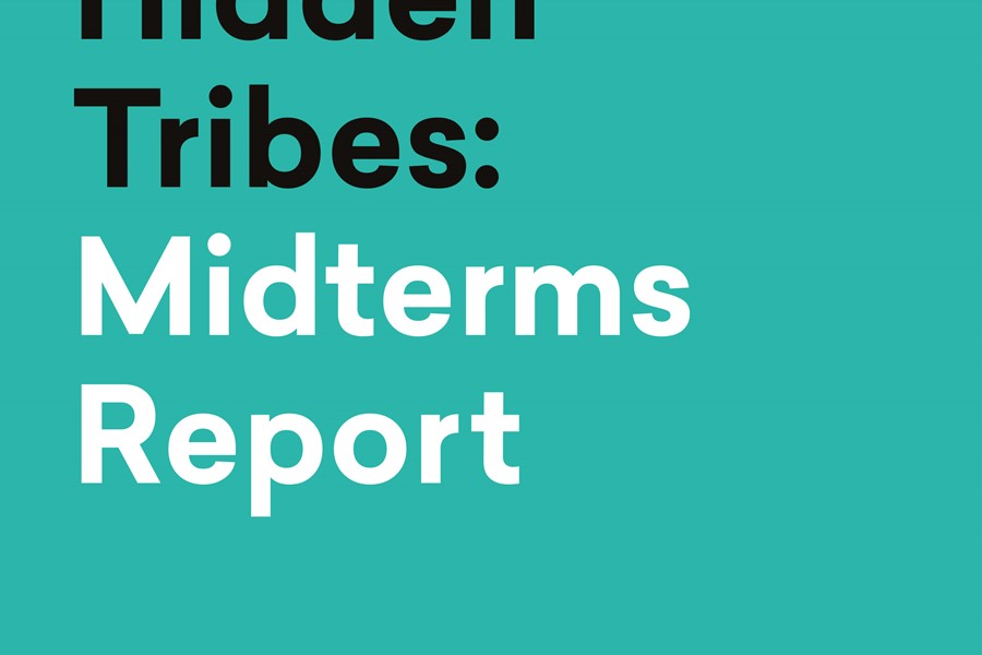 Hidden Tribes Midterms Update 1